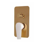 پنل اصلی دوش مدل BW-4017