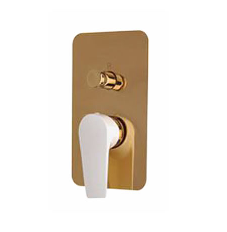 پنل اصلی دوش مدل BW-4017